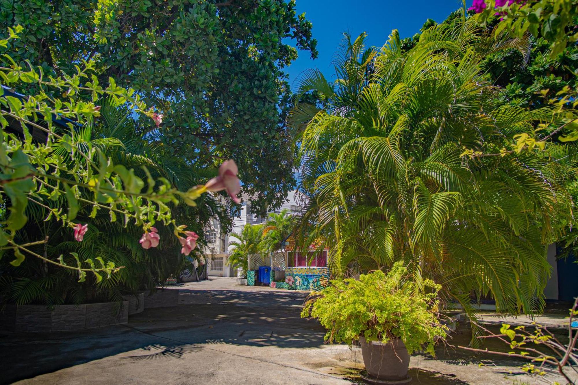 Alojamiento San Martin ซานอันเดรส ภายนอก รูปภาพ